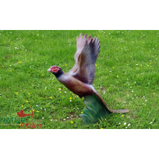 Natur Foam PHEASANT - SOARING